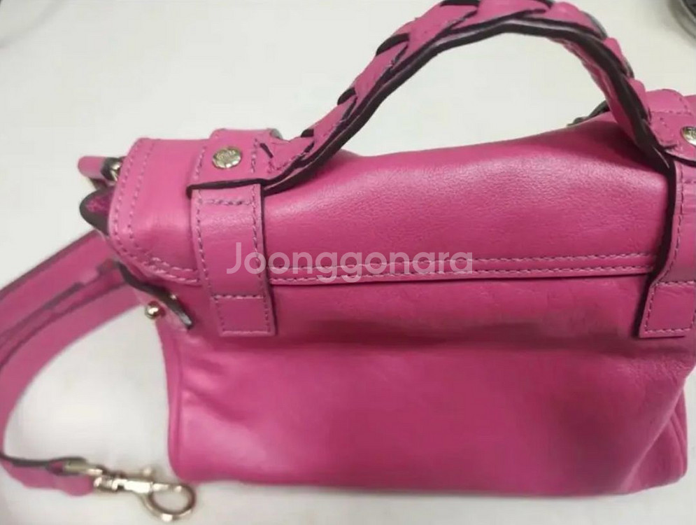 멀버리 미니 알렉사--5