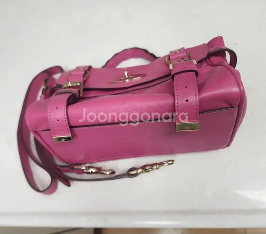 멀버리 미니 알렉사--3