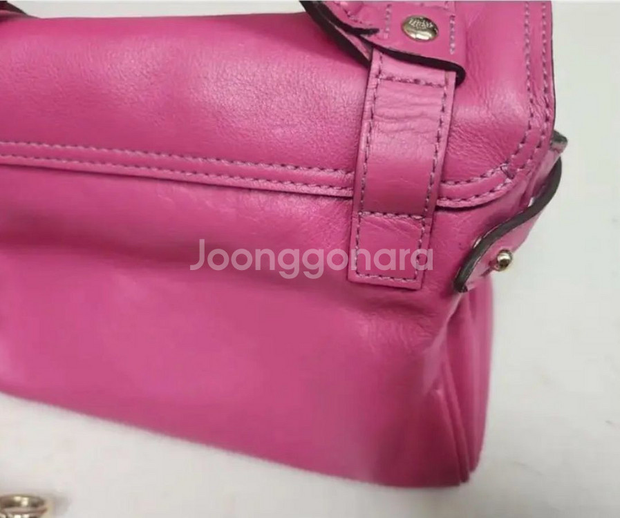 멀버리 미니 알렉사--4