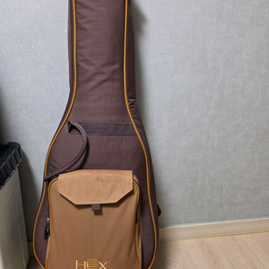HEX Hive F100M 어쿠스틱기타