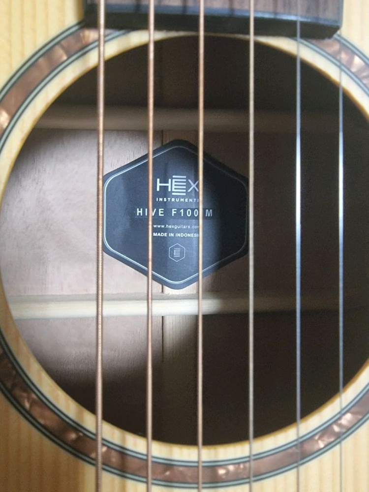 HEX Hive F100M 어쿠스틱기타--3
