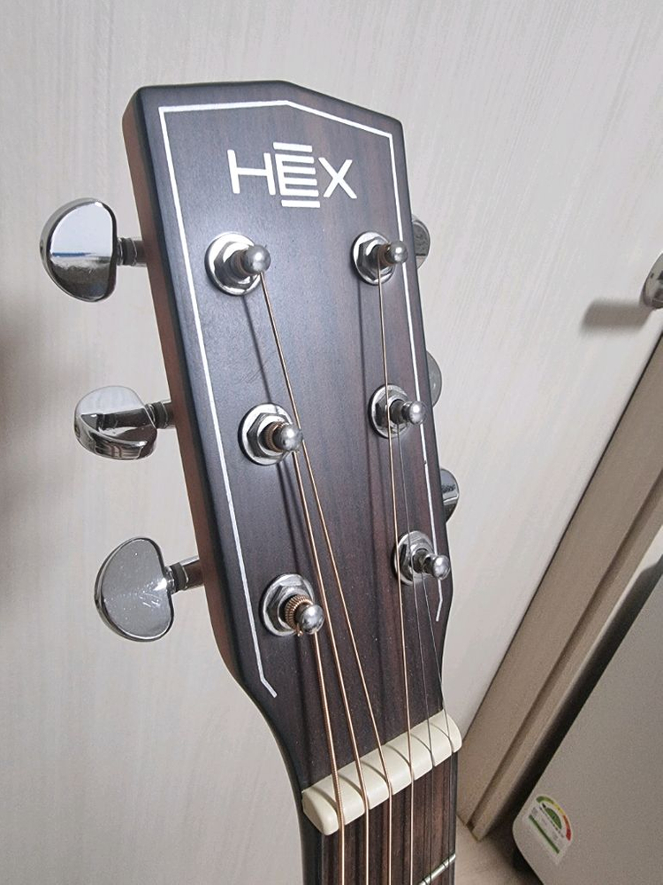 HEX Hive F100M 어쿠스틱기타--2
