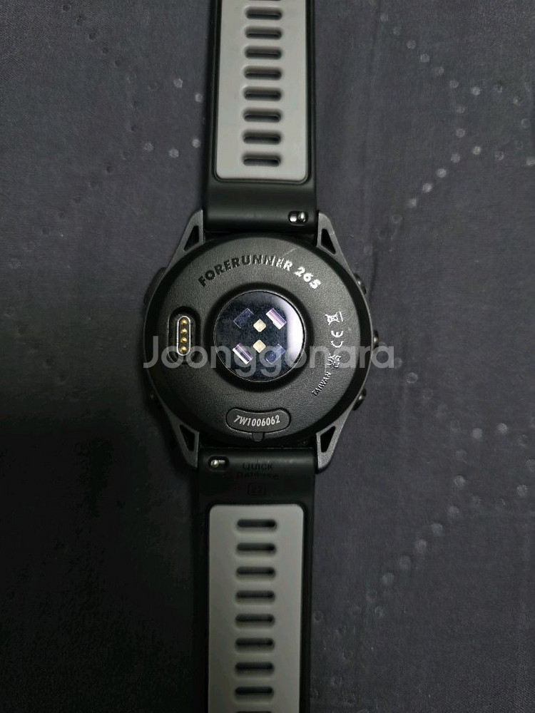 가민 포러너 265--3