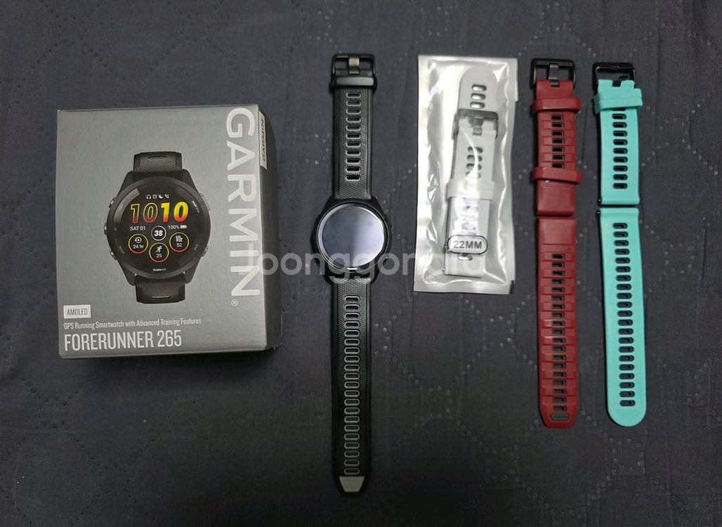가민 포러너 265--1