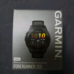 가민 포러너 265