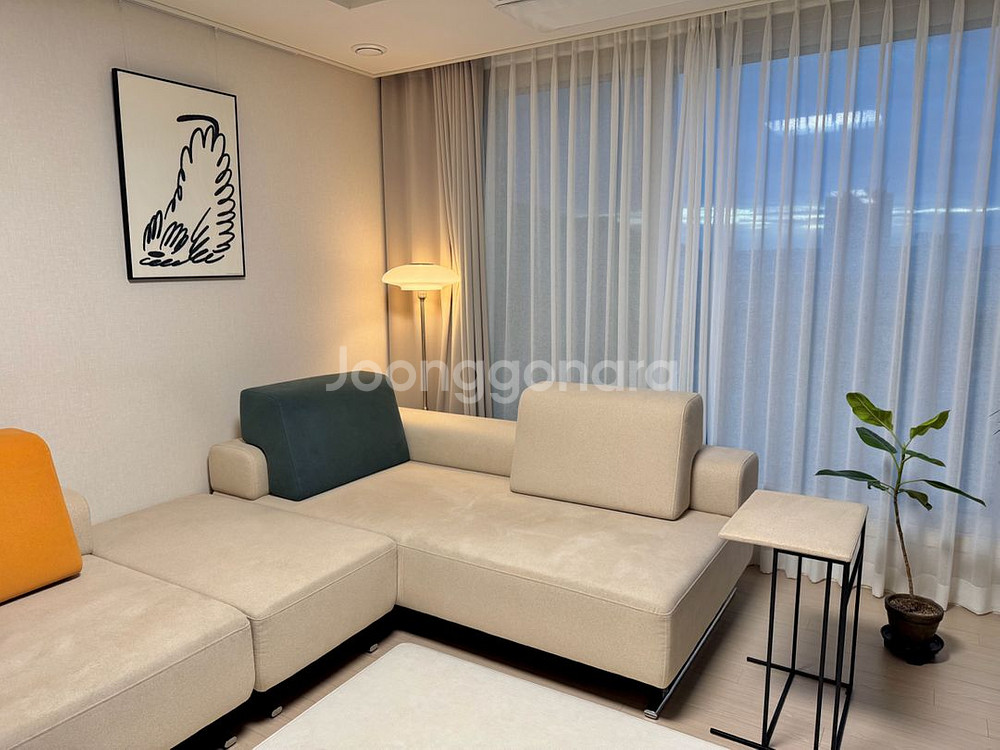 펠리토 랙돌 쇼파--1