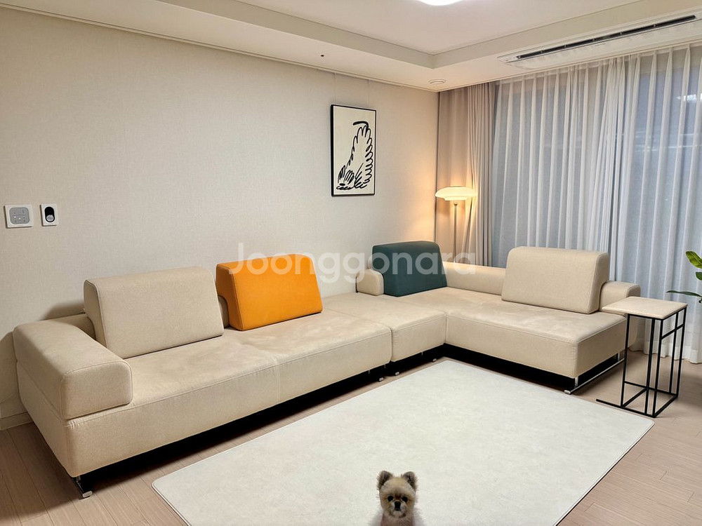 펠리토 랙돌 쇼파--0