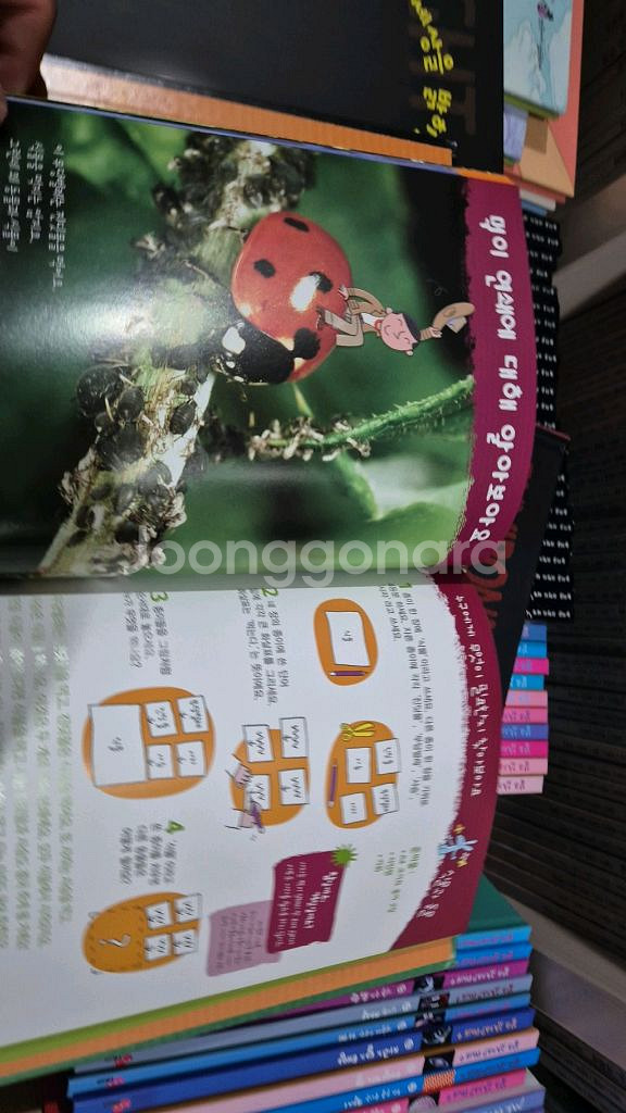 대교 알고있나요24권 알고있나요플러스22권 전부--2