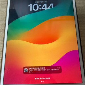 아이패드 프로 10.5