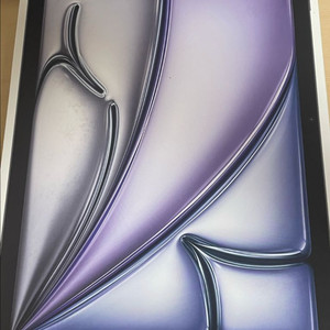 아이패드 에어 M3 11인치 256기가 스그 와이파이