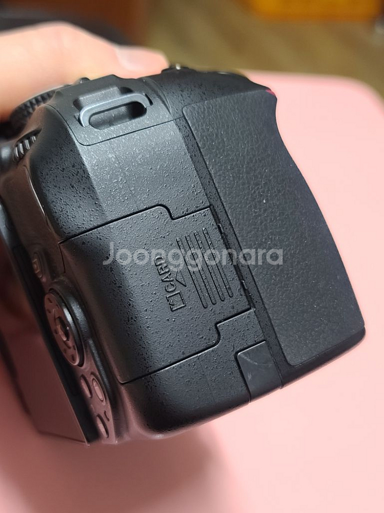 니콘 D5300 3900컷--1