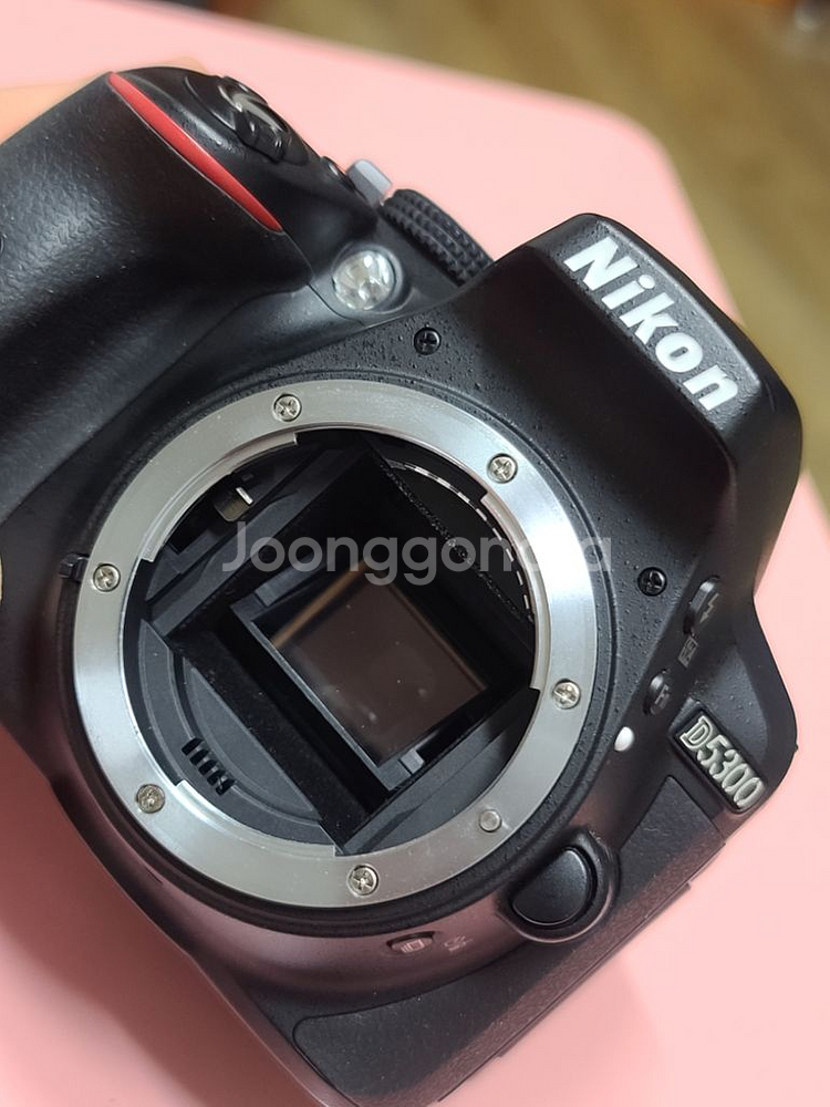 니콘 D5300 3900컷--5