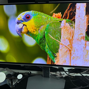 삼성G8 4K 240hz OLED모니터 S27FG810