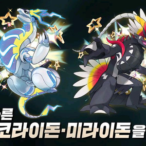 이로치 코라이돈 미라이돈 코드 판매합니다