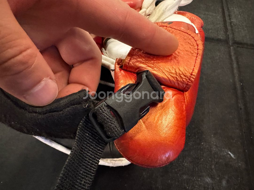 투이스코 303 코보호 헤드기어 화이트 & 레드--3