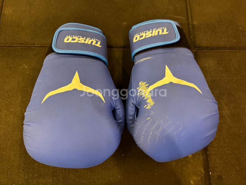 투이스코 / 초보용 코보호 스파링 세트--0