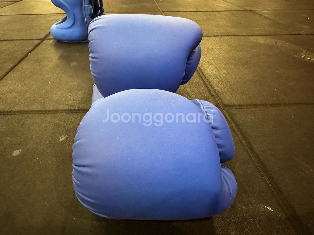 투이스코 / 초보용 코보호 스파링 세트--2