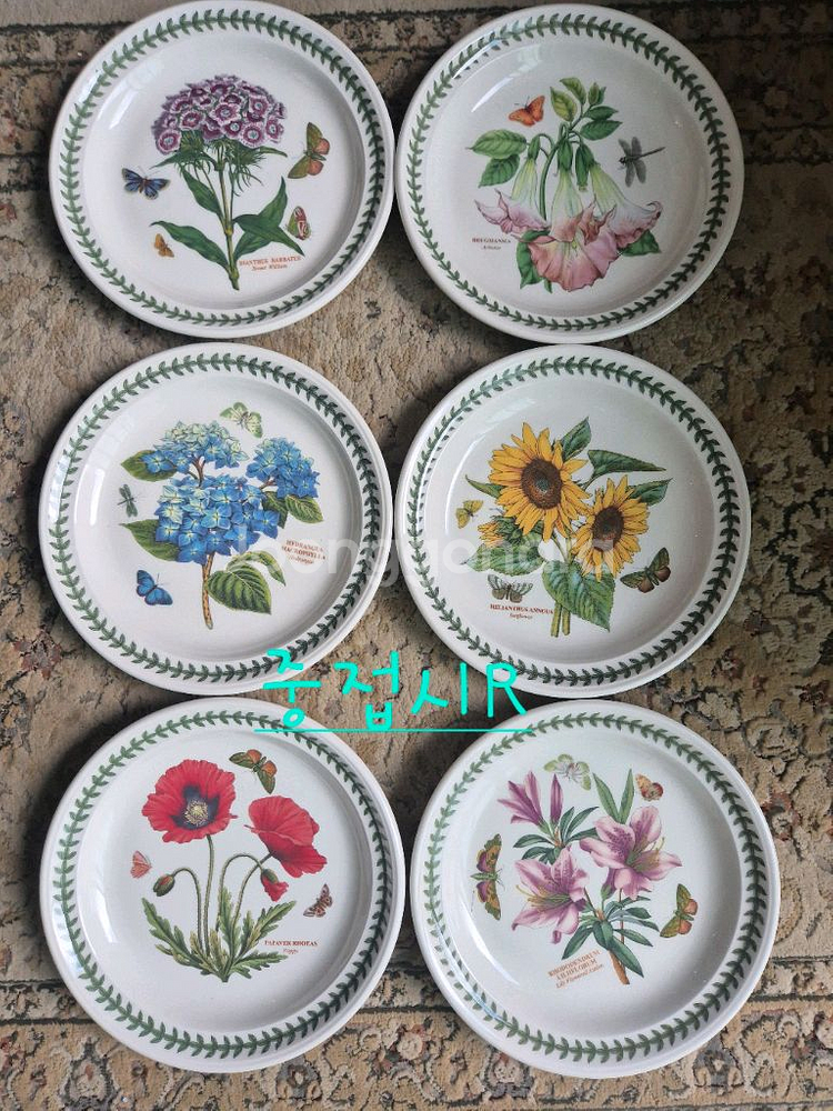 포트메리온 보타닉가든 중접시R형6p가격--1