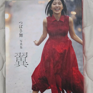 일본 여배우 화보집 사진집