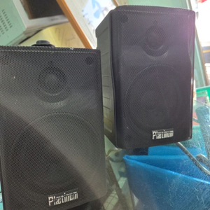 플래티넘 110w 매장용 스피커1조 PRO-X77