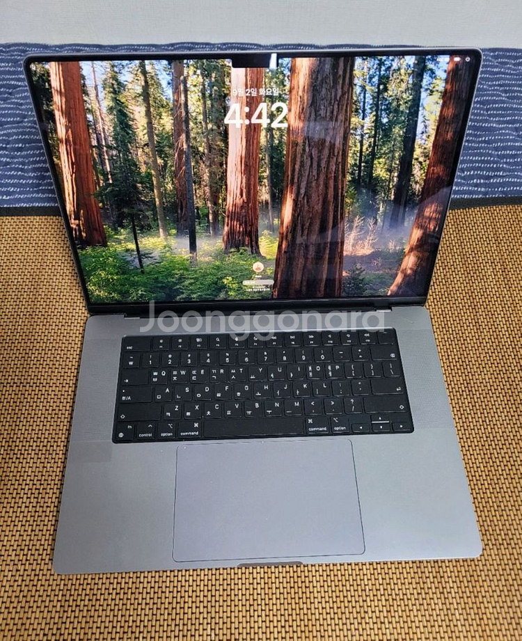 맥북프로 16인치 m1 16gb/512gb--1
