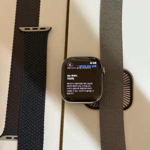 애플워치10 내추럴티타늄 42mm 밀레 브솔