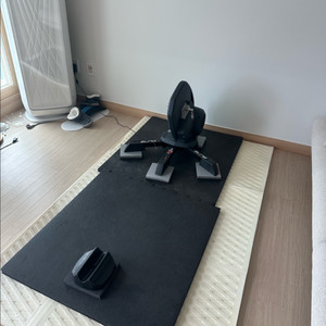 엘리트 디레토