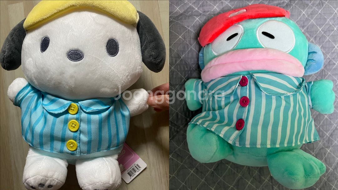 산리오 포차코인형+한교동인형 꿀잠세트--0