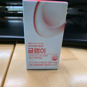 글램이 아구아헤