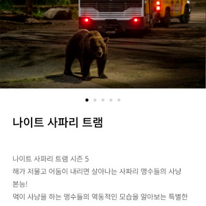 에버랜드 나이트사파리 팝니다