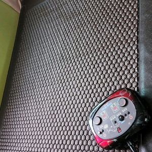 썬바이오 2인용 온열매트