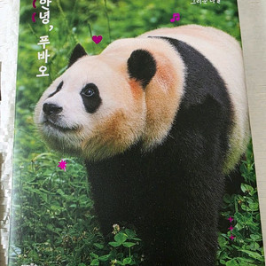 안녕 푸바오