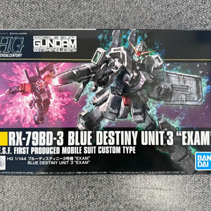 HG 1/144 블루 데스티니 3호기 EXAM