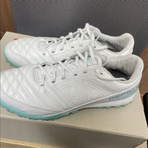 데피니브 퓨리아TF