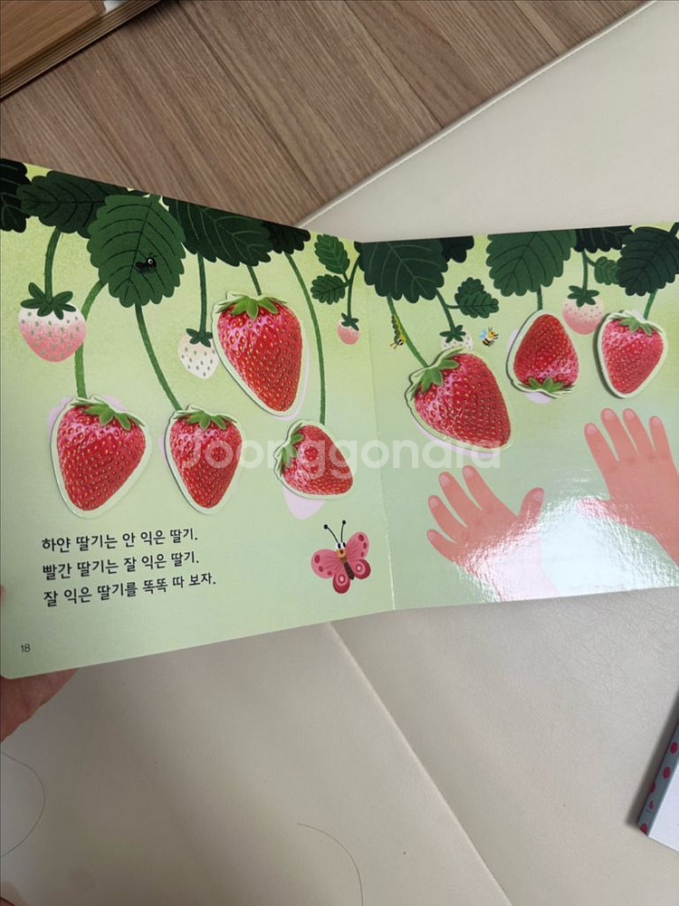 놀라운자연 딸기보드북 단권--2