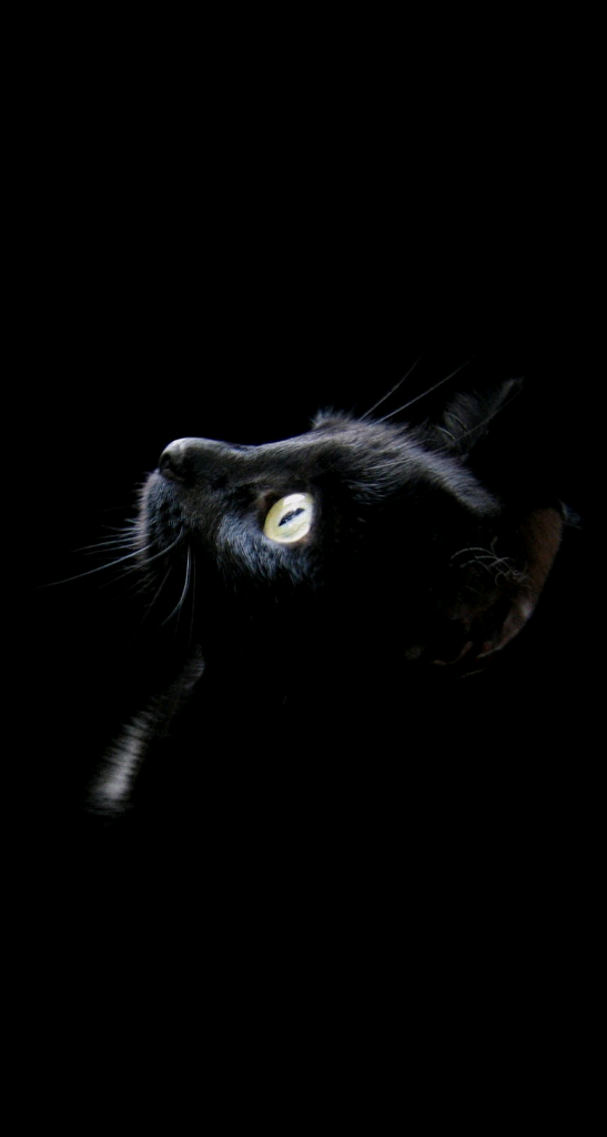 profile-image
