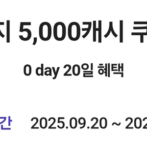 카카오페이지 5천원권 (2장 일괄)