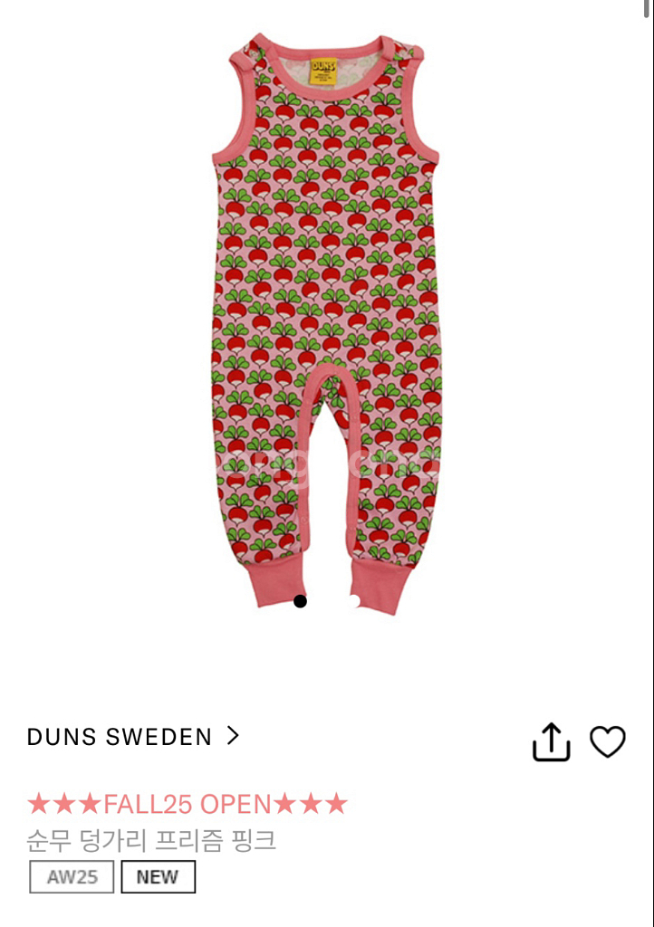 25 가을 던스 프리즘핑크 덩가리 74--0