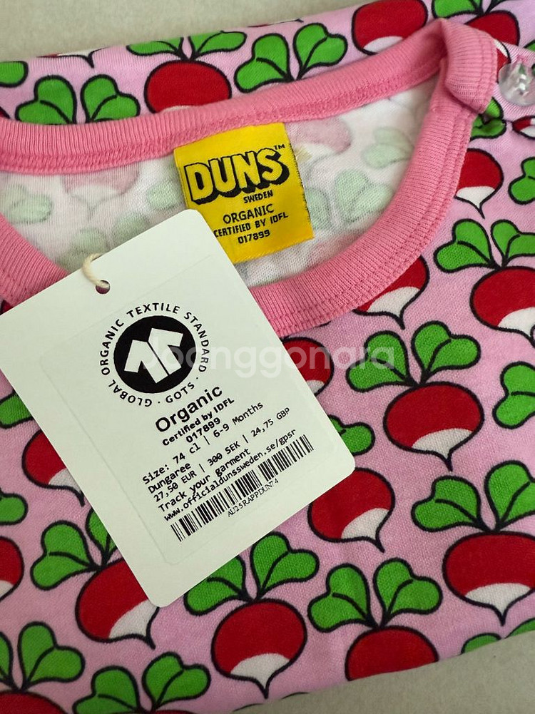 25 가을 던스 프리즘핑크 덩가리 74--1