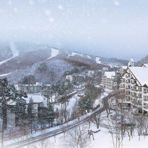 무주리조트회원권 뉴실버매도