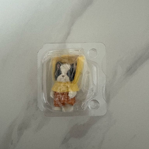 실바니안 쿠지 딜리셔스 퍼레이드 G상 일괄