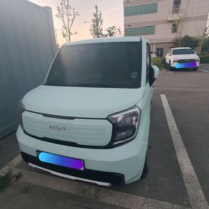 뉴레이