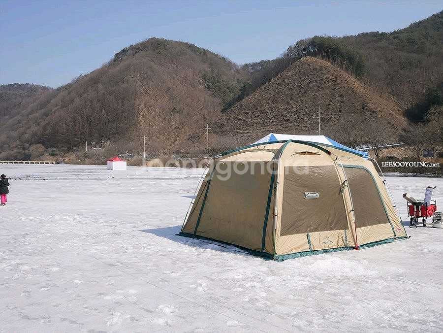 콜맨 터프 스크린타프 판매합니다.--3