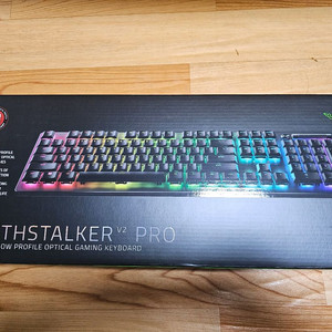 레이저 데스스토커 V2 PRO deathstalker