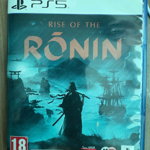 라이즈오브로닌. 니어오토마타