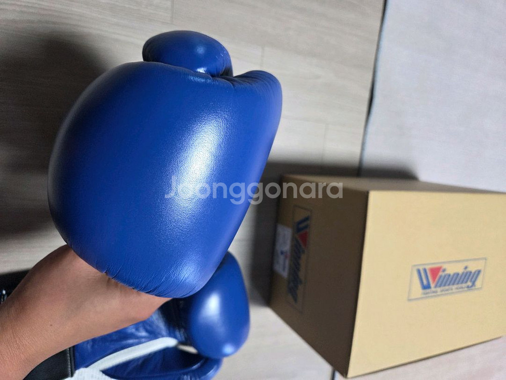 위닝 jabf 10온스 글러브--2