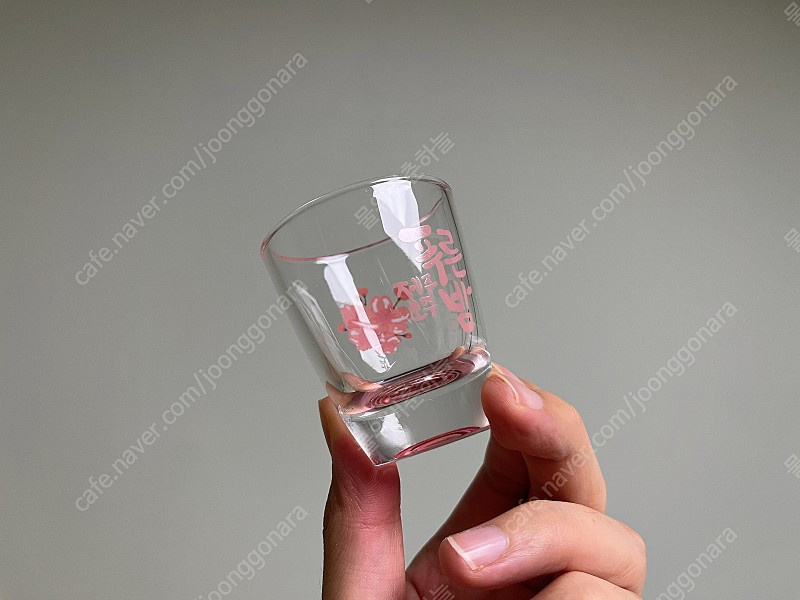 [새상품] 한정판 푸른밤 소주잔 제주 왕벚꽃잔 박스있음 이미지