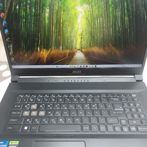 MSI 인텔i 13세대 i7 RTX4060 게이밍노트북
