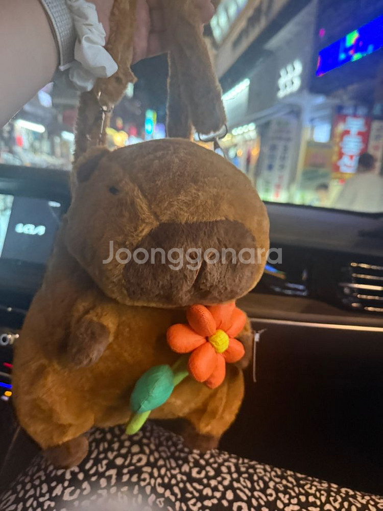 카피바라 인형가방--0