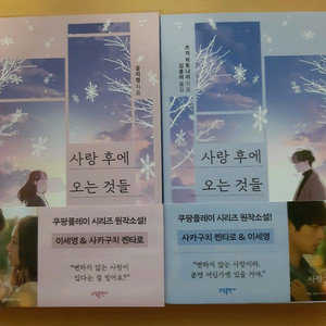 사랑 후에 오는 것들(쿠팡플레이 시리즈 원작소설!)